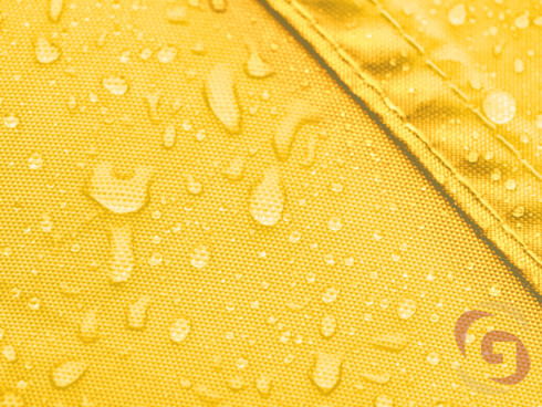 Detail žlté slunečníkoviny